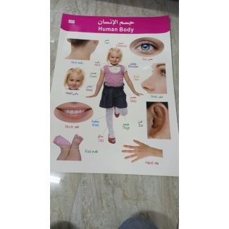 بوستر جسم الانسان 21/15