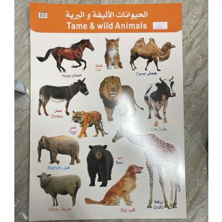 بوستر الحيوانات 