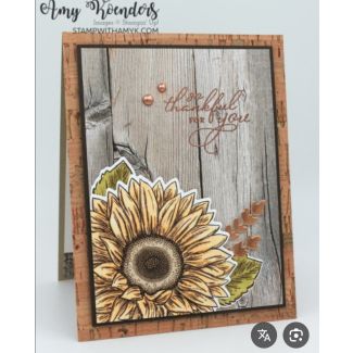 اكياس هدايا صغير 91/7 رسمة دوار الشمس 