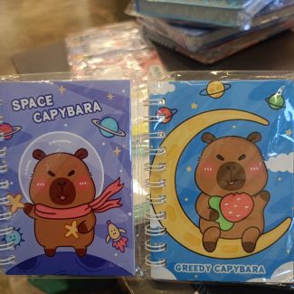 دفاتر نوت 4 قطع 26/7 - دبدوب