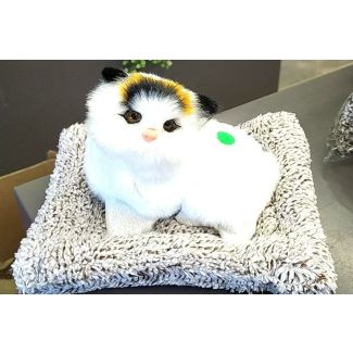 لعبة قطة 13/3 حجم وسط