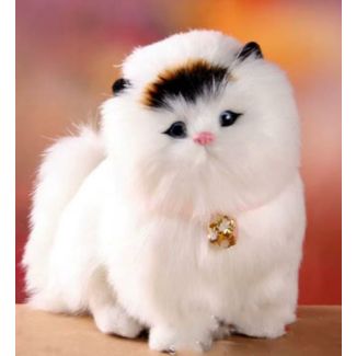 لعبة قطة 13/7 مع جرس