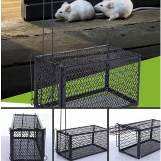 مصيدة فئران 8/20