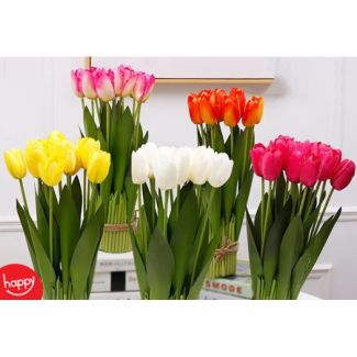 ورد توليب 79/108