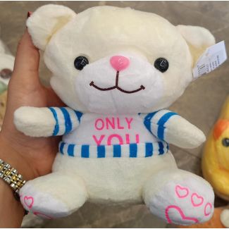 مجسم دبدوب - ONLY YOU 16/1