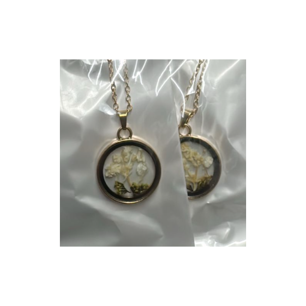 قلادة مستديرة زهرة ابيض مجففة   (39/24) 